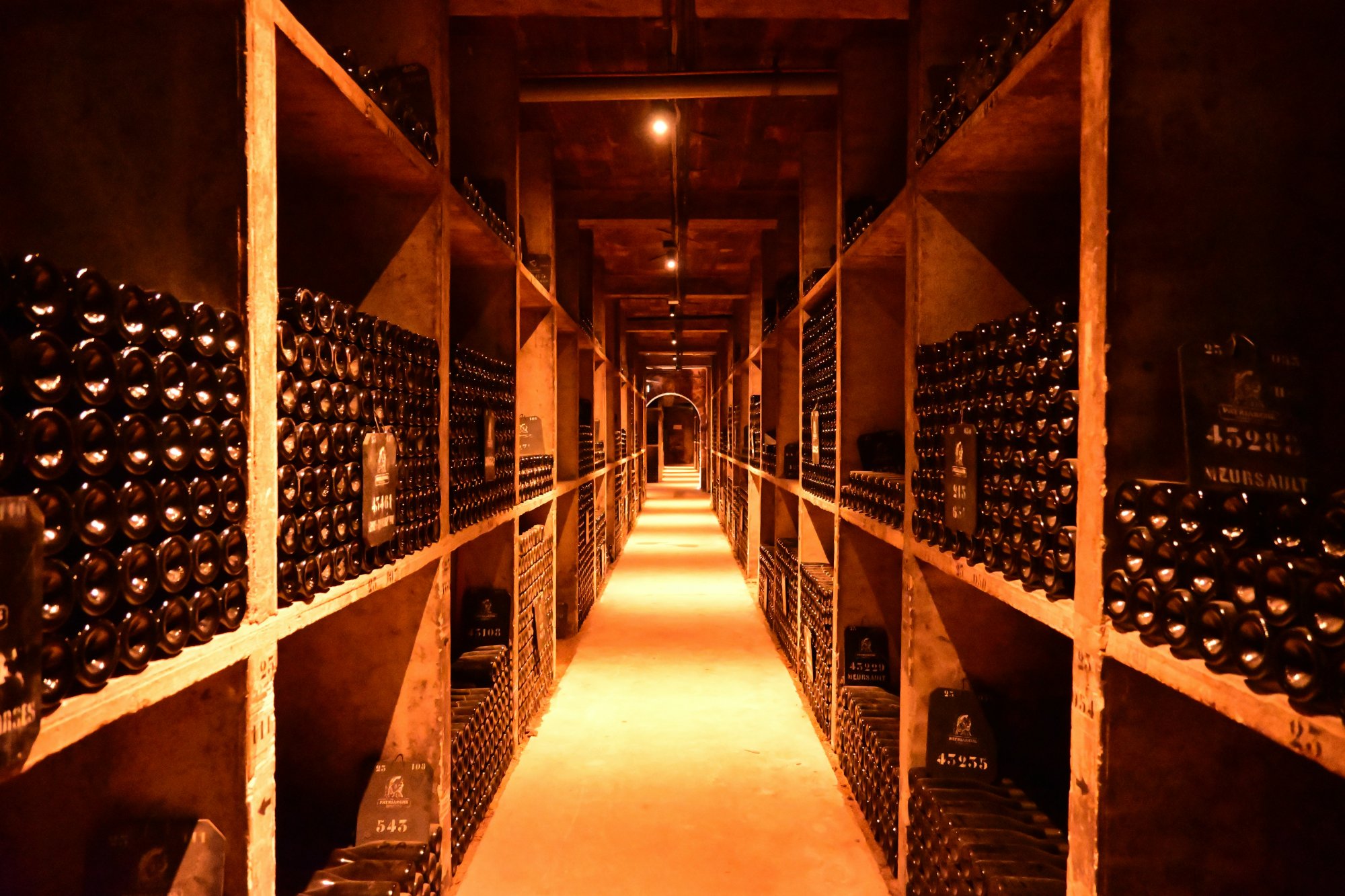 Custom wine cellar with wooden racking and ambient lighting